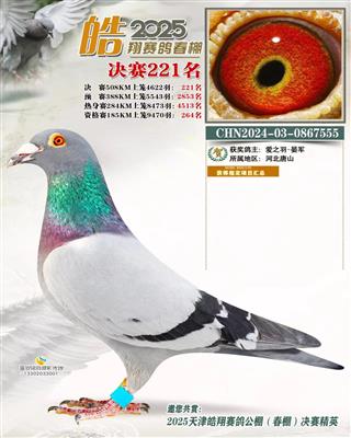 2025年皓翔春棚成绩鸽