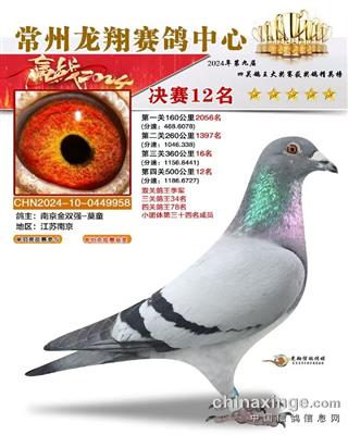 江苏龙翔公棚决赛12名 双关鸽王季军