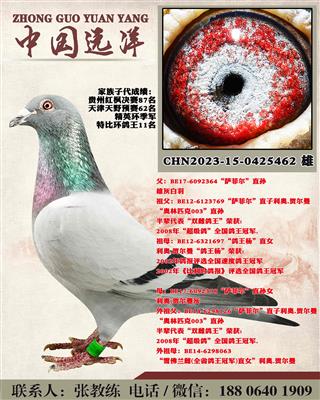 两年不出成绩包换