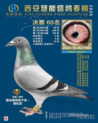 西安慧能春棚决赛60名