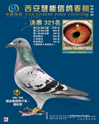 西安慧能春棚决赛321名