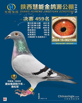 西安慧能金鸽源春棚决赛459名
