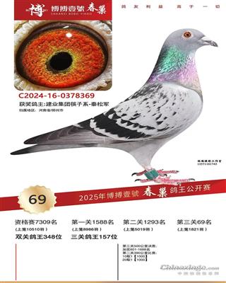 陕西博博壹号春巢决赛69名
