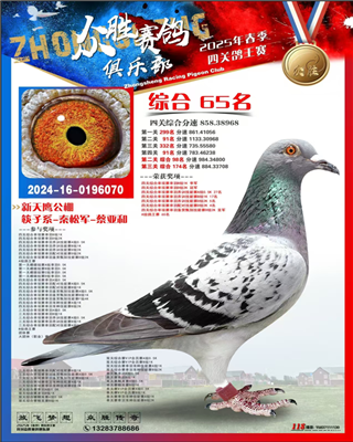 众胜赛鸽俱乐部综合鸽王65名