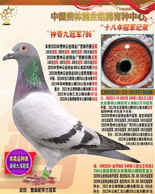 “神奇八冠女王786”