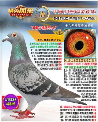 500冠军冠军之母