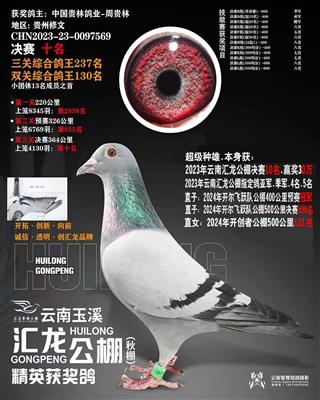 23年云南汇龙公棚10名