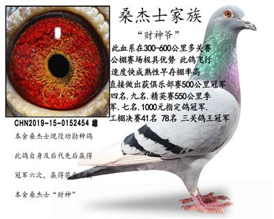 桑杰士家族“财神爷”