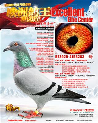 新金姆直子x直女