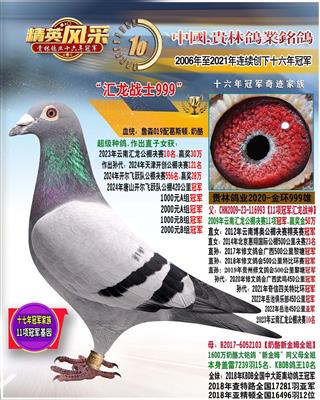 汇龙公棚10名父亲.11项冠军直子