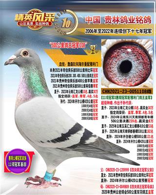 云南汇龙公棚10名母亲