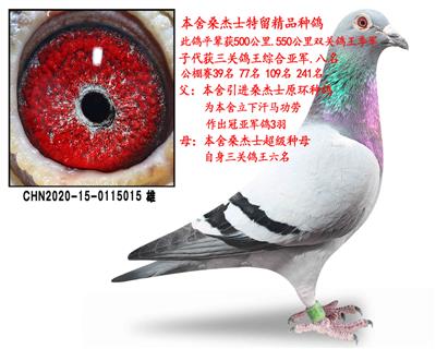 桑杰士超级种雄