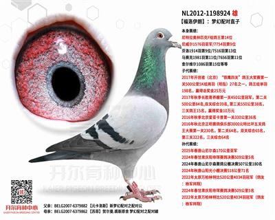 【福洛伊朗】：利奥梦幻配对直子