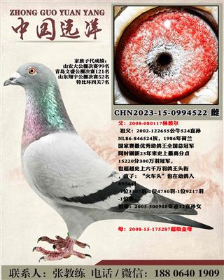 两年不出成绩包换