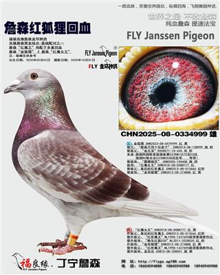 詹森红魔王母配子多重回血