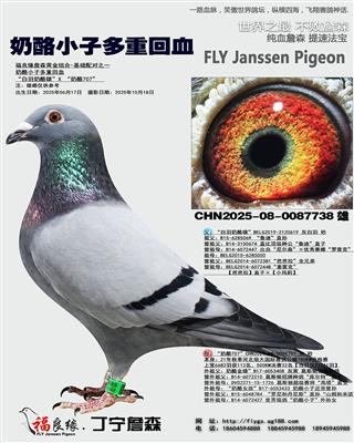 奶酪小子多重回血