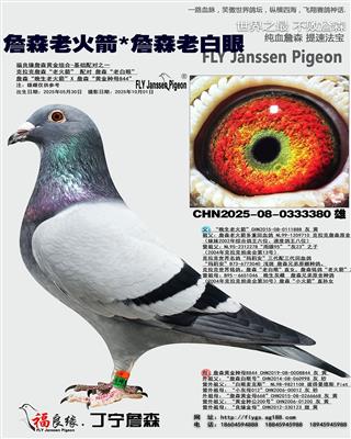 詹森老火箭*詹森老白眼