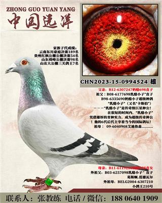 两年不出成绩包换