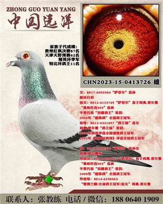 两年不出成绩包换