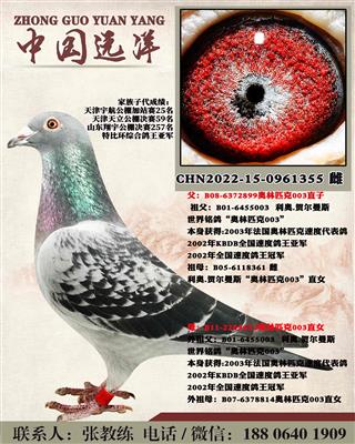 两年不出成绩包换