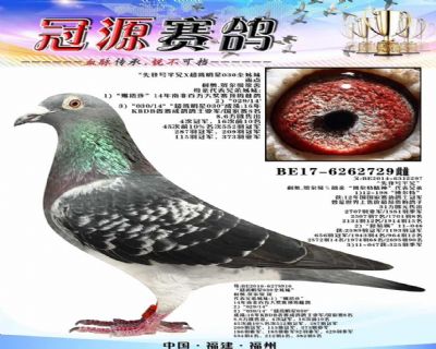 『超级明星030全直接直女』
