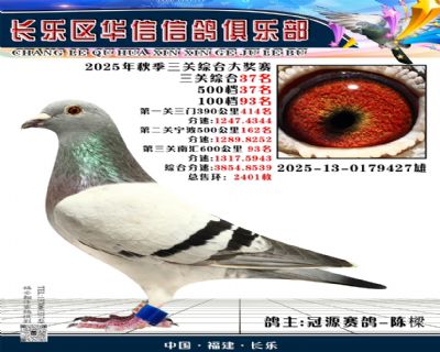 三关鸽王三十七名