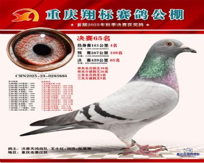 翔标公棚决赛65；鸽王9名