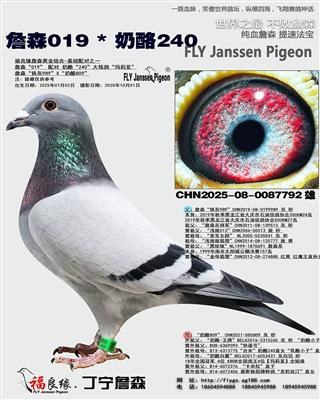 詹森019 * 奶酪240