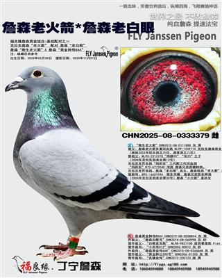 詹森老火箭*詹森老白眼