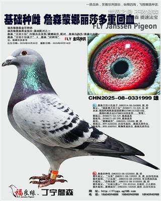 詹森蒙娜丽莎回血