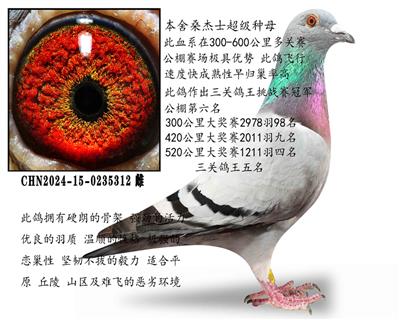 桑杰士钻石种雌