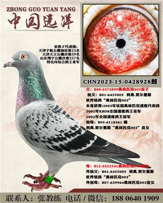 两年不出成绩包换