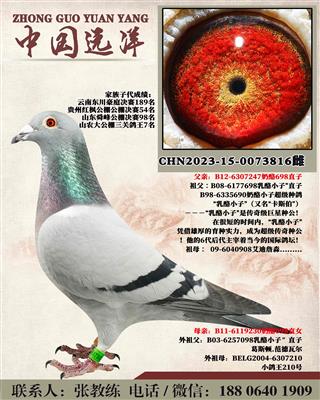 两年不出成绩包换