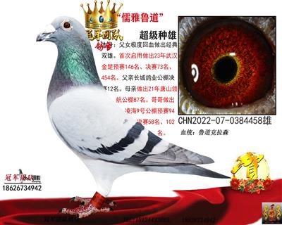 长城鲁道：金楚决赛73名、454父亲