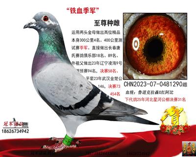 鲁道“铁血季军”