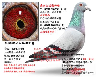 桑杰士钻石金母