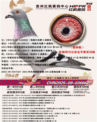 骠马6627