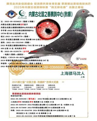 骠马6699