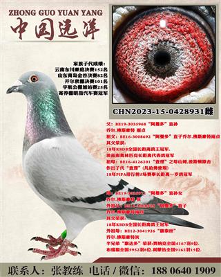 两年不出成绩包换