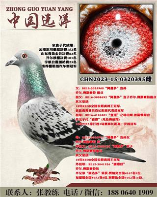 两年不出成绩包换