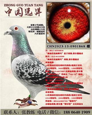 两年不出成绩包换