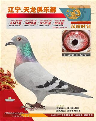 2025年辽宁天龙小棚