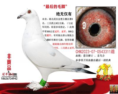 最后的毛脚