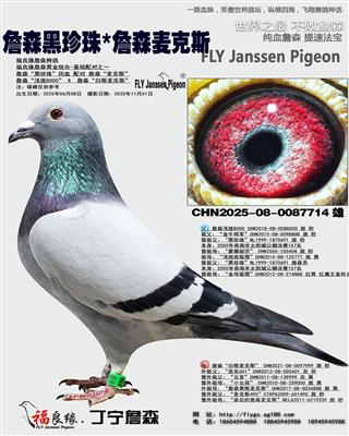 詹森黑珍珠*詹森麦克斯