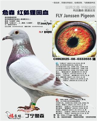 詹森红狐狸回血