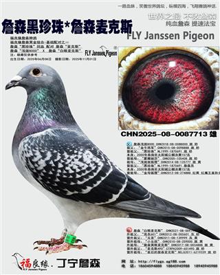 詹森黑珍珠*詹森麦克斯