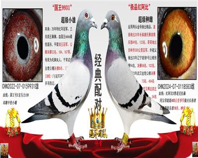 冠军全舅  X  49名母亲（极品红阿比