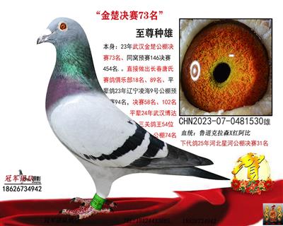 武汉金楚公棚决赛73名