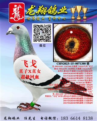 “飞戈”近亲直孙出售