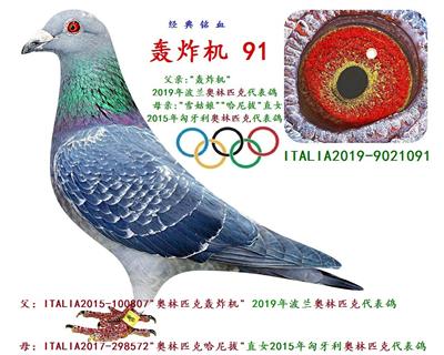 轰炸机 91